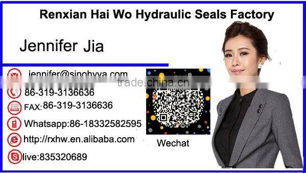OEM NBR O Ring Auto Oil Seal for Sealing Machine