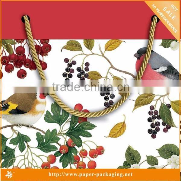 Entertaining Paper Gift christmas drawstring gift bags