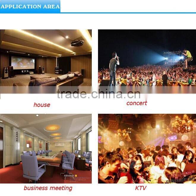 OEM OMEGA 850W professional amplifier speaker with USB input