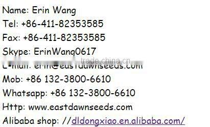 red watermelon seed wholesalers china