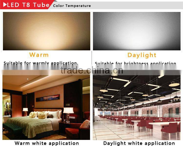 3 years warranty LED lighting samsung 5630 clear cover 1200MM t8 led integrated tube