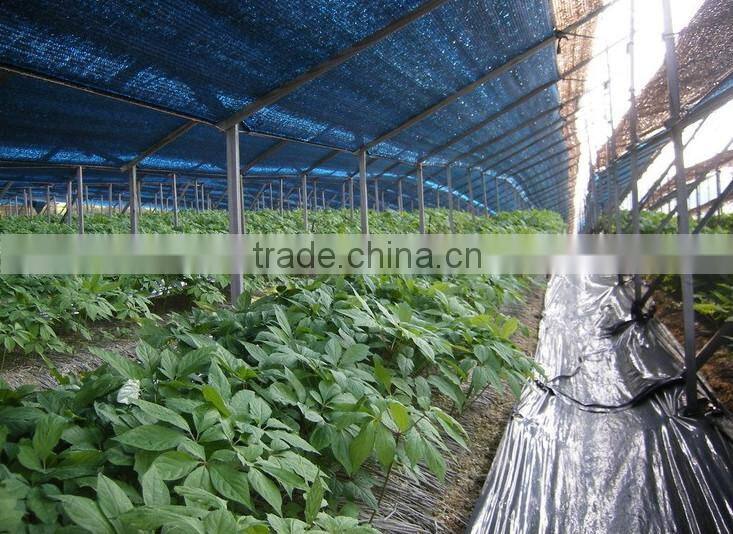 100% HDPE And UV Treated Sun Shade Net
