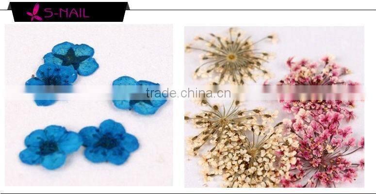 Natural dried flower decoration , nail art dried flowers