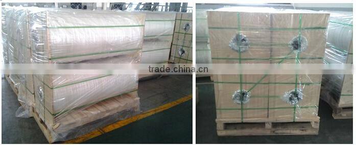 75um White Color Silicone Release Liner Roll