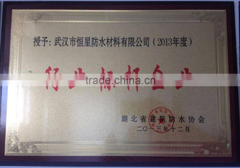 Waterproof Coating Mainly consists of Acrylic polymer emulsion