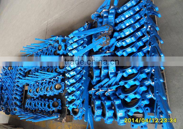 API pinless Lug Butterfly Valve