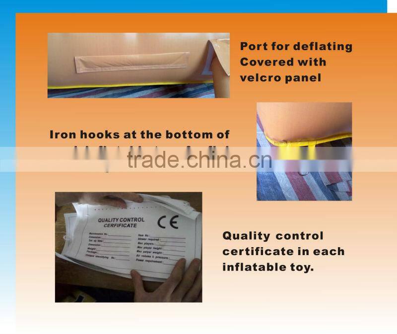 7mWx5.5mDx4mH inflatable water slide with pool inflatable water park with twin double slides with pool