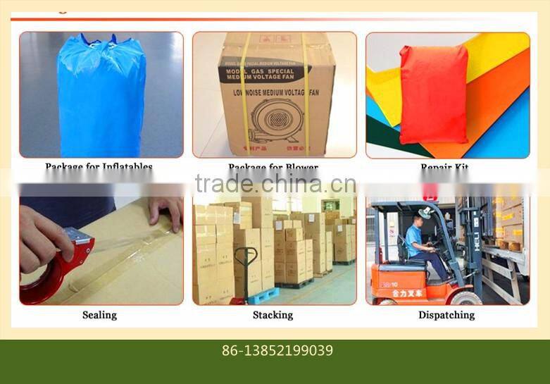 Lion Inflatable Jumping Bouncer Outdoor Inflatable Bouncer