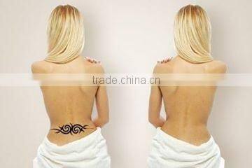 Q switch Nd Yag Laser price 1064nm &532nm wavelength