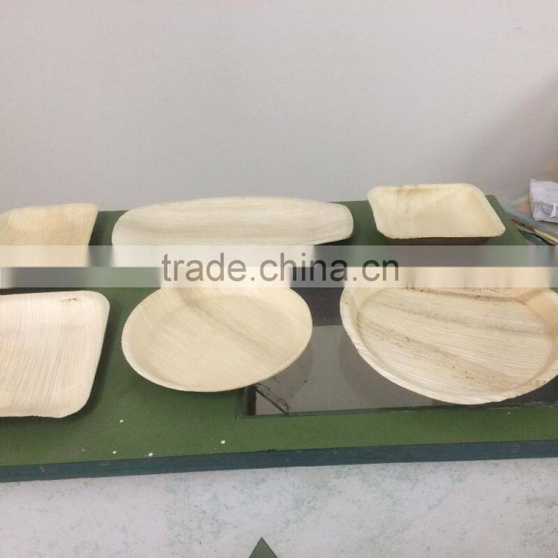 High Quality of New Square Shape Areca Plate Supplier in Malaysia / Singapore / Thailand