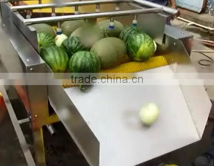 Full Automatic Industrial Spray Vegetable And Fruit Washer Washing Machine