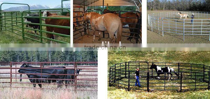 cheap metal tubular holding yards paddock fence rails used fence panel for livestock