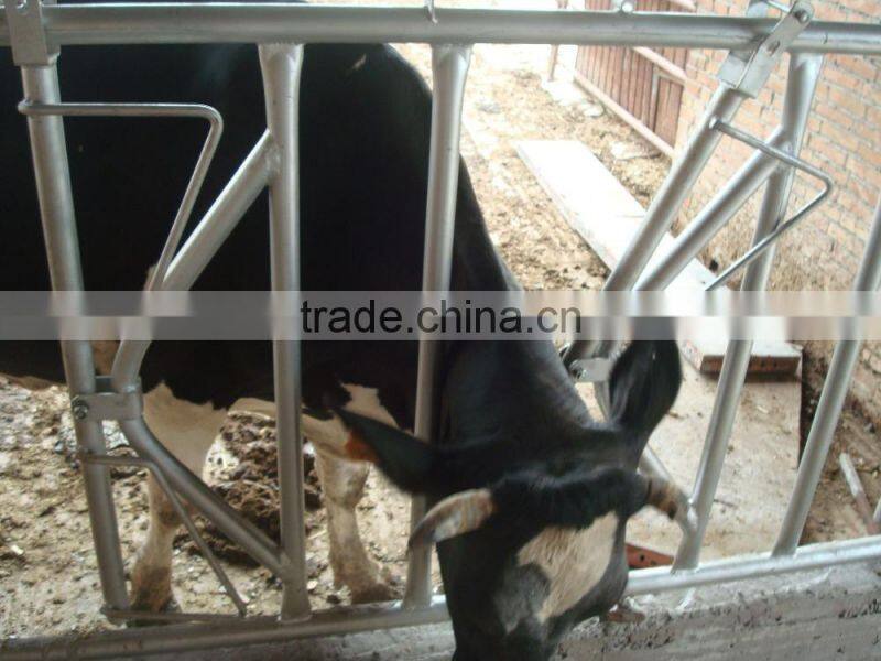 Hot Dipped Galvanized Fencing Panels for Head Locking