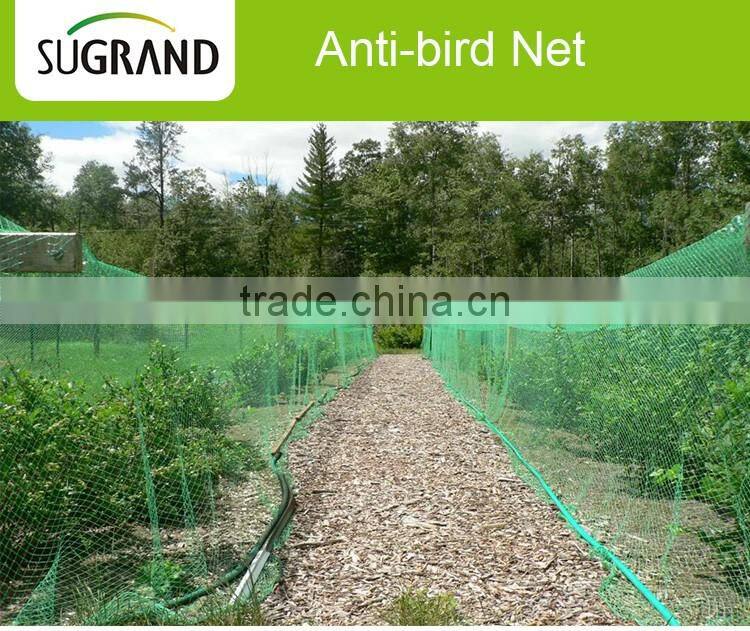 Trap Bird Nets For Catching Birds