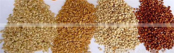 small gravity air screen grain seed cleaner