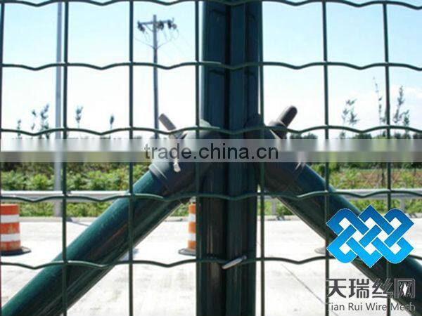 High quality holland wire mesh with low price