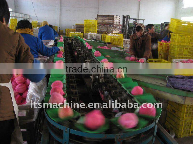 Good Quality Vertical Fruit Grading Machine