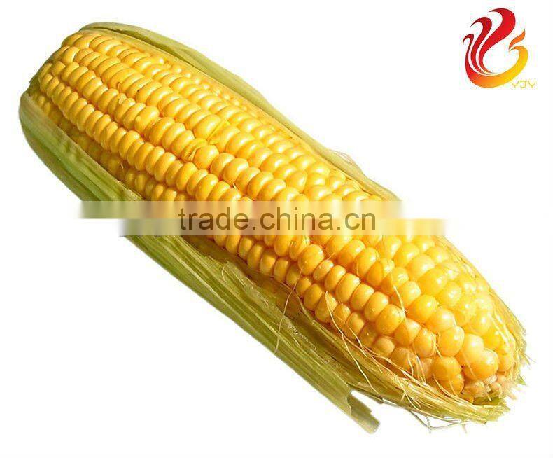 Automatic corn sheller