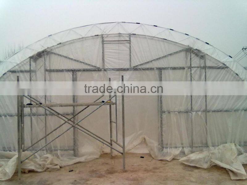 Anti UV 200 micron plastic film/green house covering material