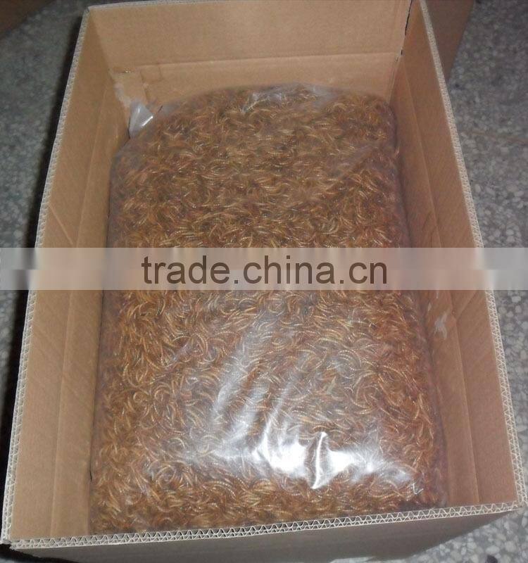 Bird Foods 2.5--2.8 cm Microwave Dried Yellow Mealworms