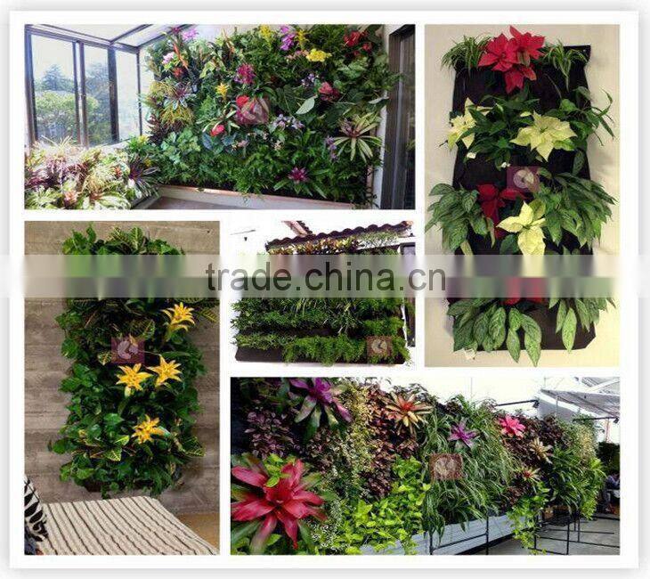 Pockets Vertical Garden non woven waterproof wall hanging Grow Bag