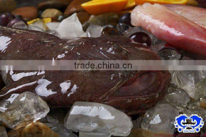 seafood frozen fish monkfish tail IQF