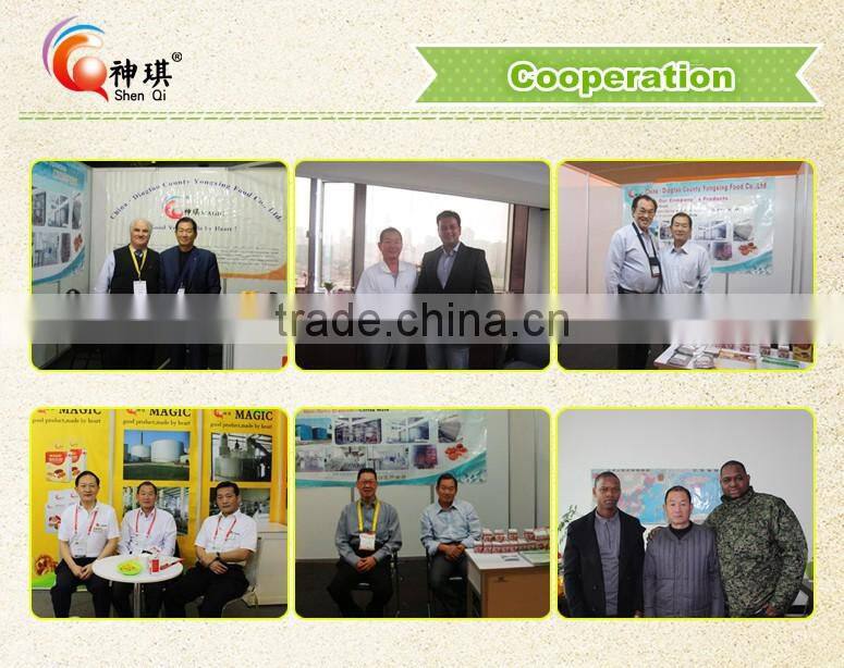 FRUIT FLAVOURED INSTANT POWDER DRINK China supplier