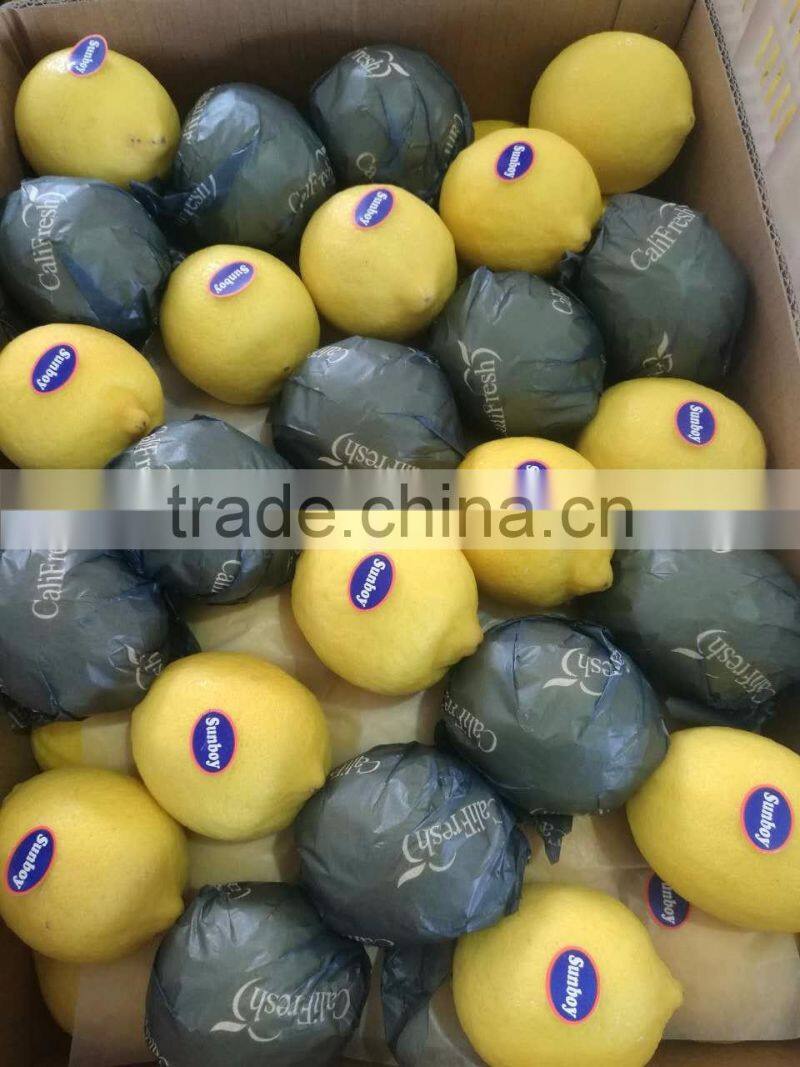 Fresh citrus fruits /Yellow Eureka Fresh Lemon
