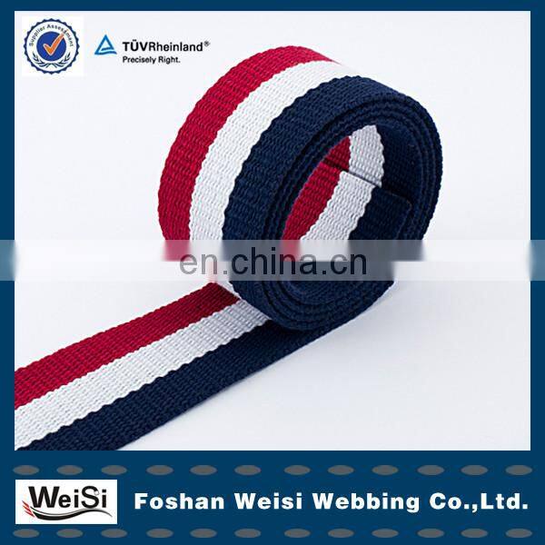 High Quality Canvas Web Belt Material Custom Polyester Webbing
