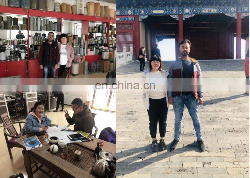 Stainless steel Hydraulic Oil Filter Element MP Filter SF530M90