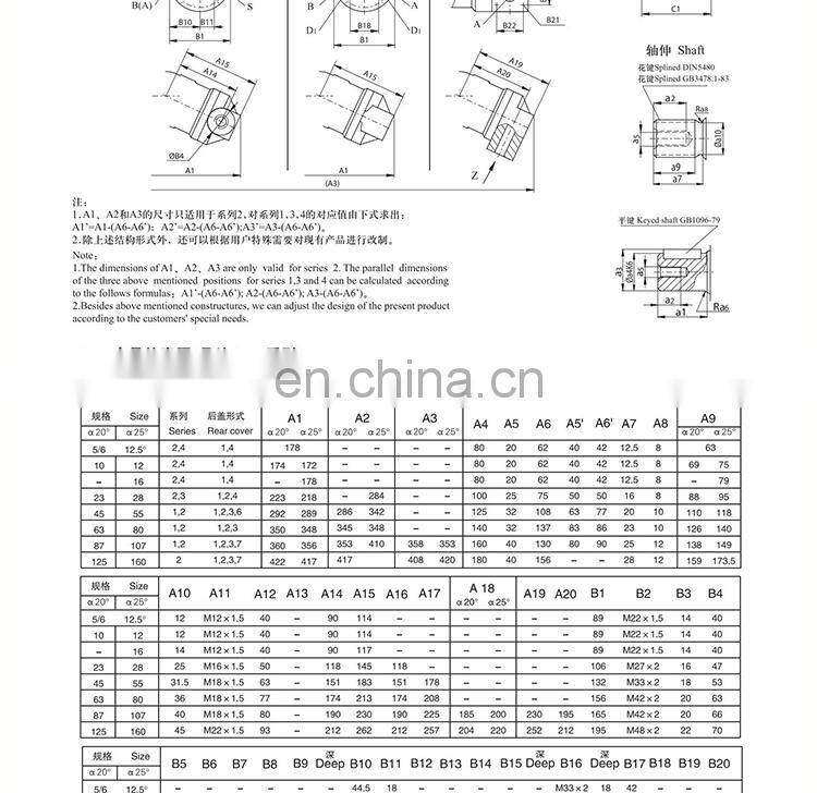 Oblique curved neck pump plunger pump/motor A2F55.80.160R2P1 Quantitative pump