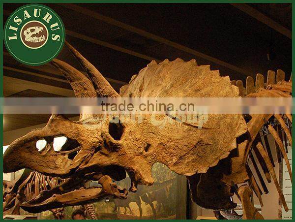 Lisaurus-0047 Buried Discovery Science Dinopark Dinosaurs Fossils Replica