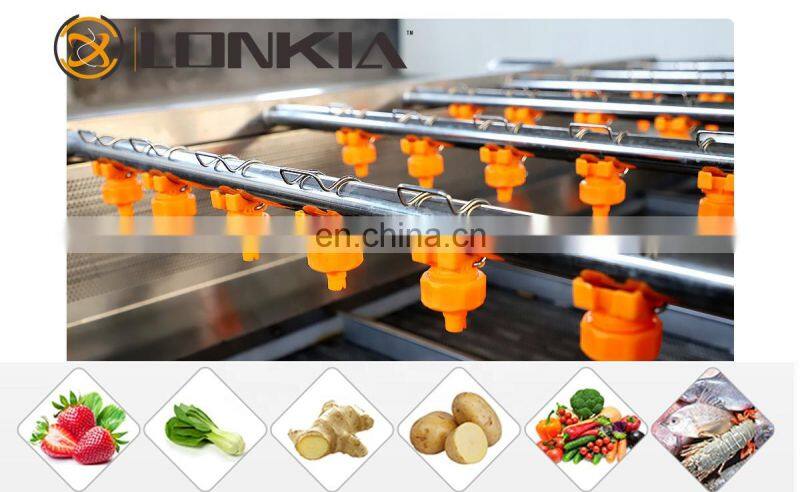 Best Price Fresh Fruit Mango Apple Cleaning Machine Air Bubble Vegetable Washing Machine
