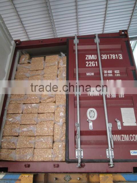 Vietnam cashew kernel W320, best price, best quality origin Vietnam