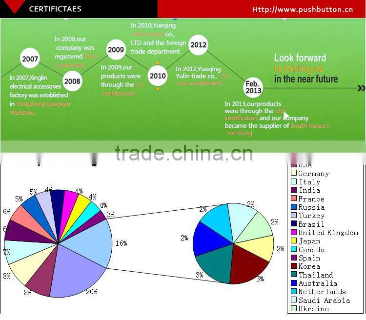 19mm stainless steel Flat Actuator electrical pushbutton switch with 6vdc ring Orange LED