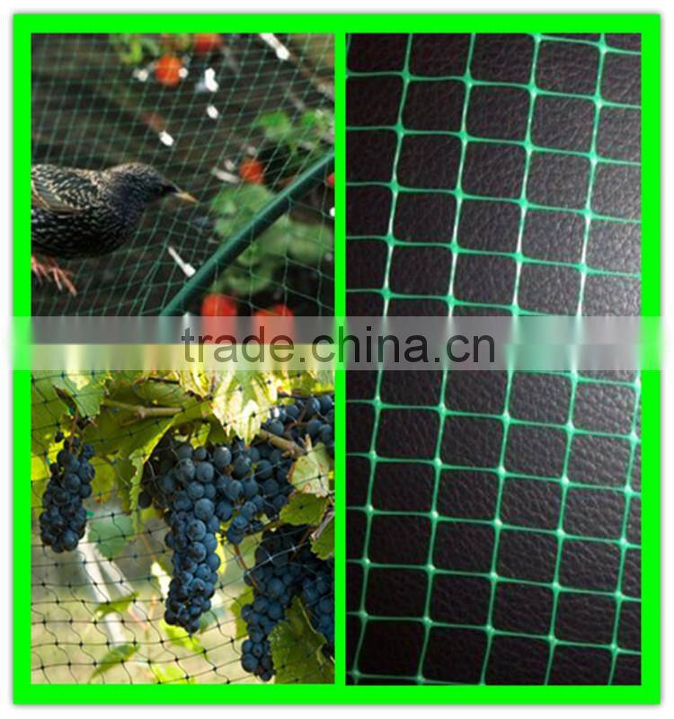 high quality virgin HDPE crops top cover anti-bird stretch net
