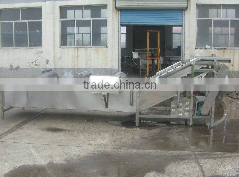 Strawberry processing line