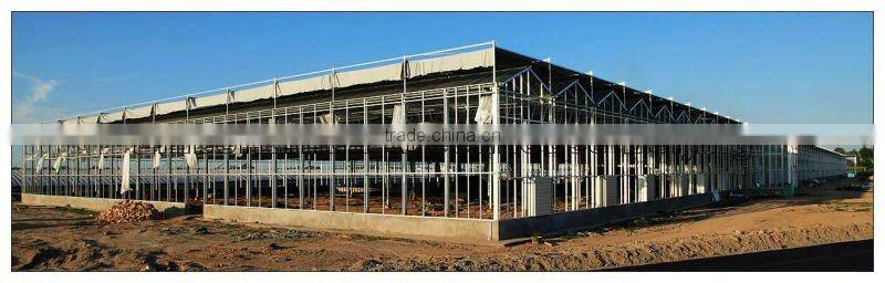 Large Span Glass Multi-span Greenhouse