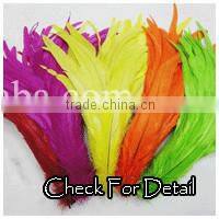 Indian Dance Feather Costume Top Quality Feather Costume