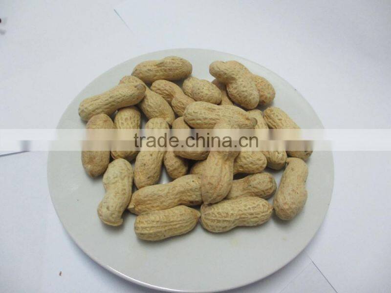 Chinese Peanut kernels Haihua type