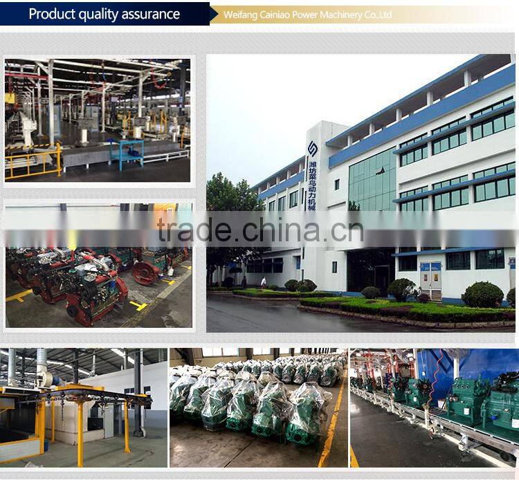 Ricardo 4 cylinder hot sell in weifang marine auto diesel outboard engine