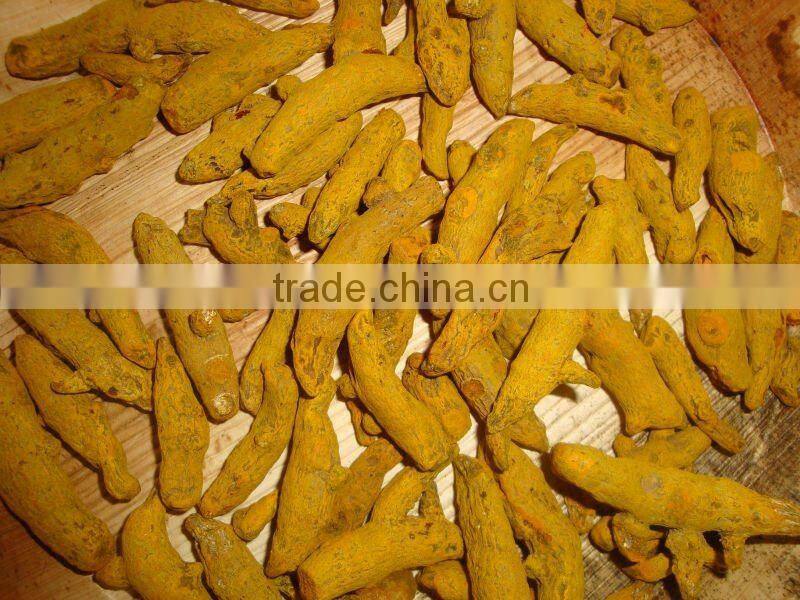 Excellent Grade Of Erode Turmeric Finger from India