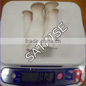 Mushroom Cultivation Plastic inoculating stick Low Price