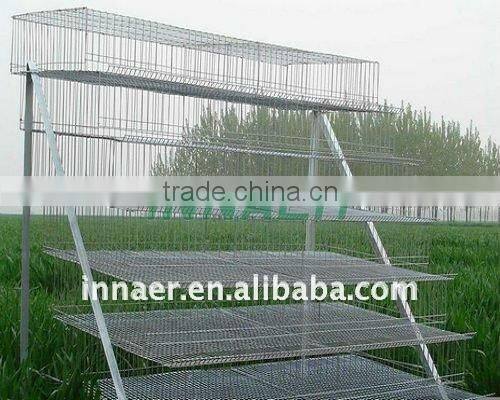 Poultry feeding trough