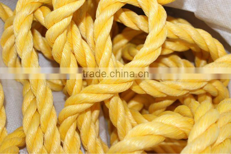 20mm diameter pp danline rope