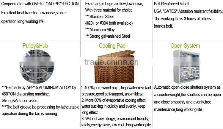 Wall Mount Industrial Extractor Fans/Exhaust Fan/Ventilation Fan