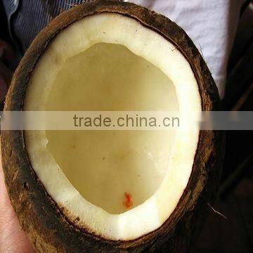 200Ton Coconut Prodution Line