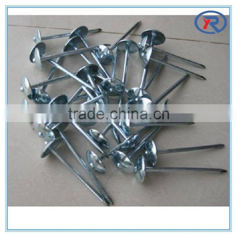 trade assurance Galvanized Umbrella Head Roofing Nails with washer