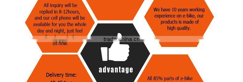 electric mountain bike 28" CST tire