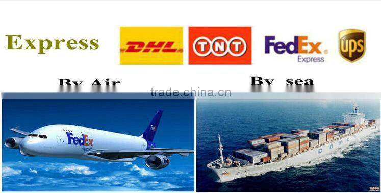 Fake wine bottles for display